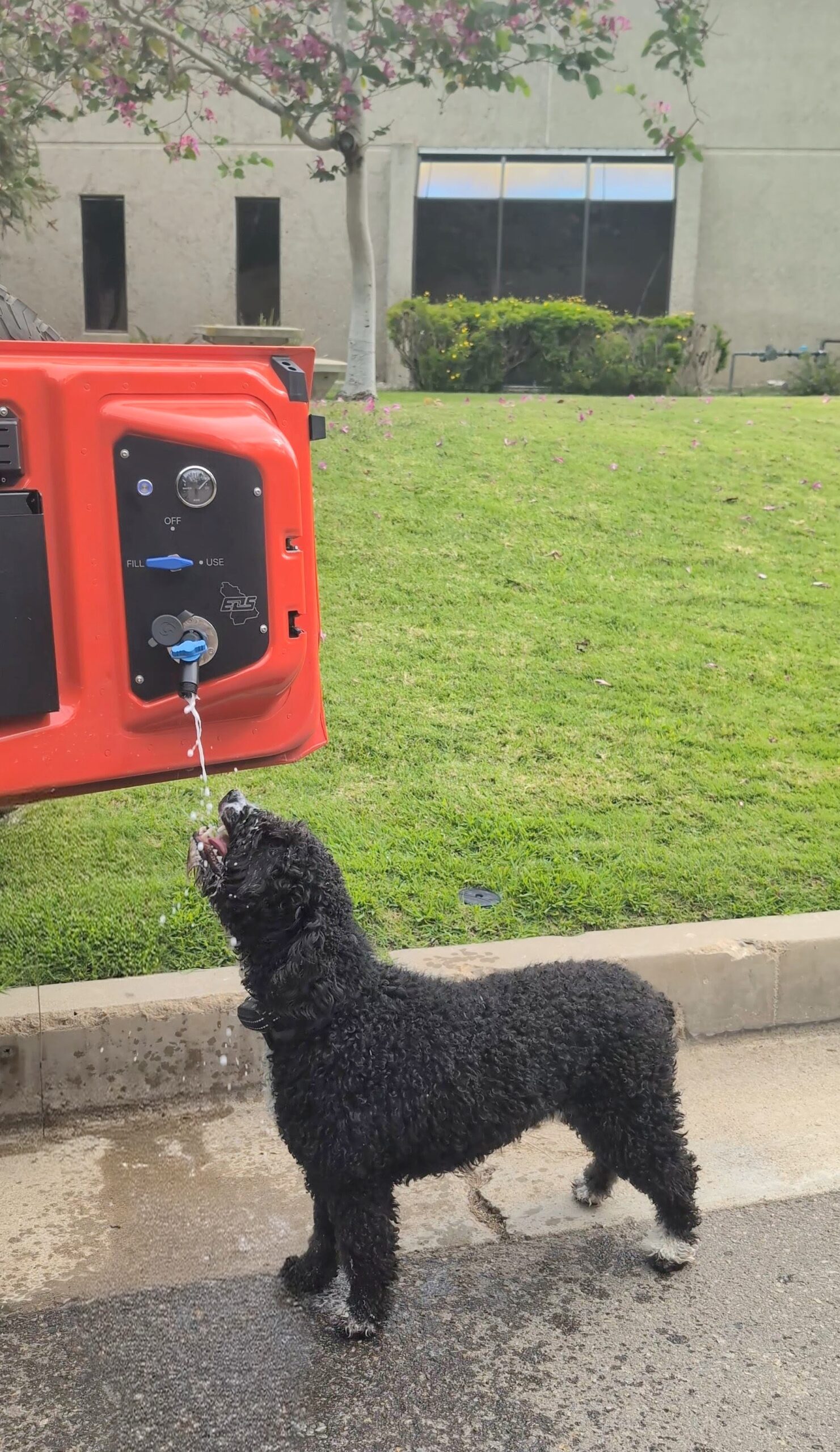 Potable Water System (PWS) - Bronco Raptor (6th Gen) - Image 3